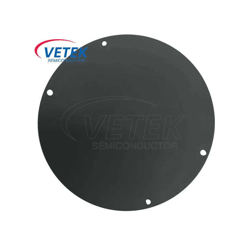 CVD SIC Pancake Suseptor