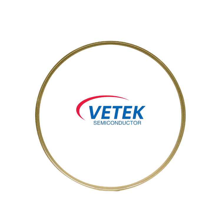 TaC örtüklü qrafit vafli üzlük